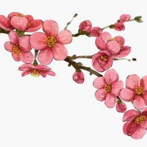 Meet your Posher, Cami